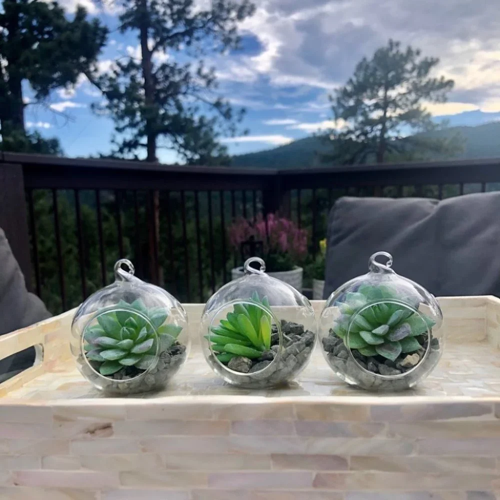 Set of 3 succulent terrariums - Picture 15 of 16